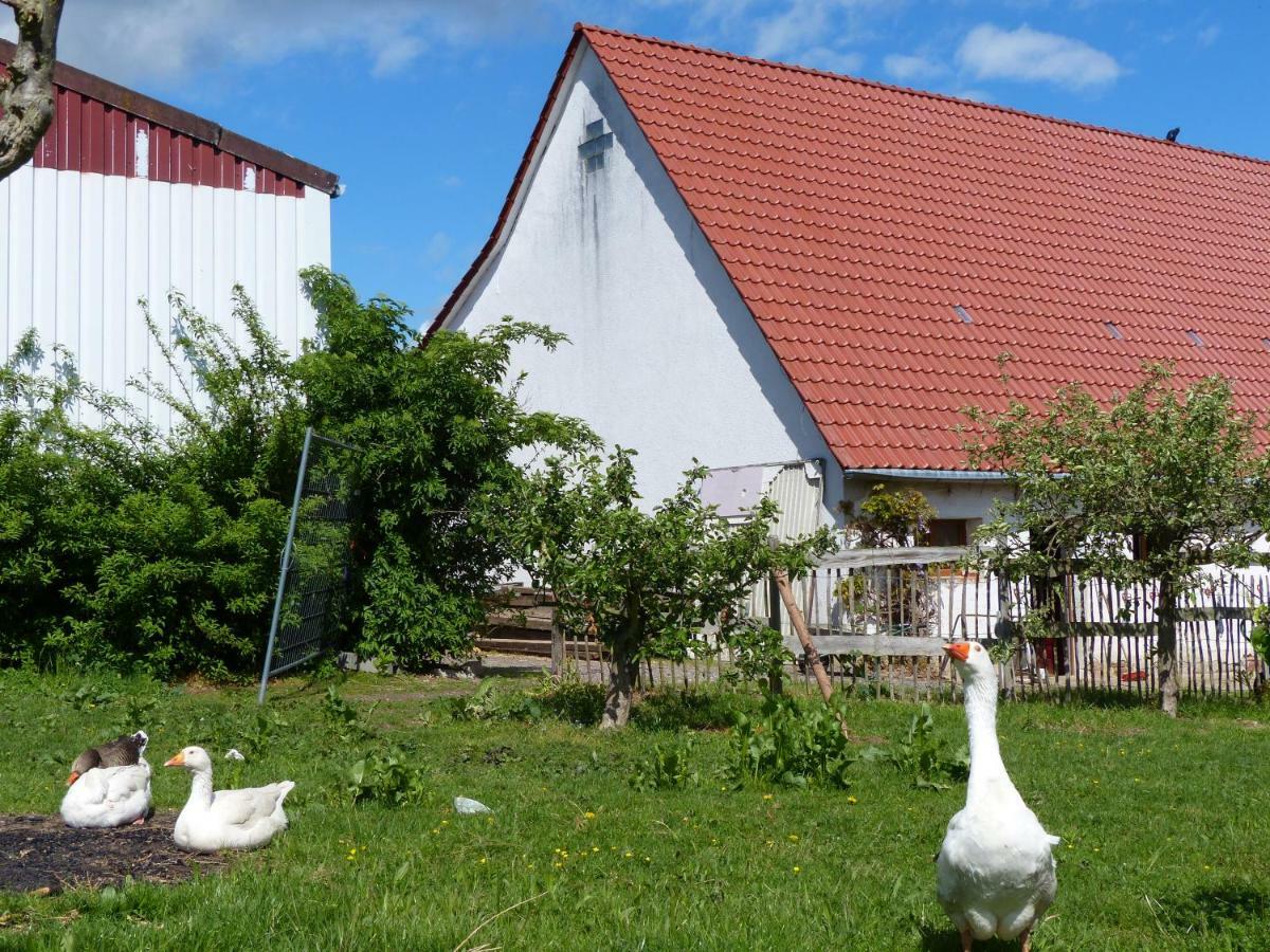 Die Gefaehrten Oberhausen  Luaran gambar